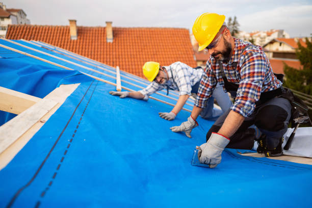 Best Gutter Installation and Roofing  in Park Layne, OH