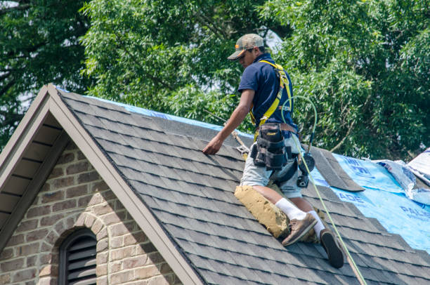 Best Roof Replacement Cost  in Park Layne, OH